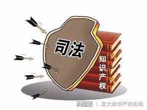知识产权司法 公信力与国际影响力的双重跃升与服务效能优化